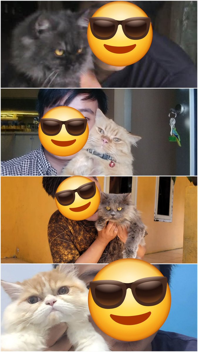 zainalarifinnugraha tweet media