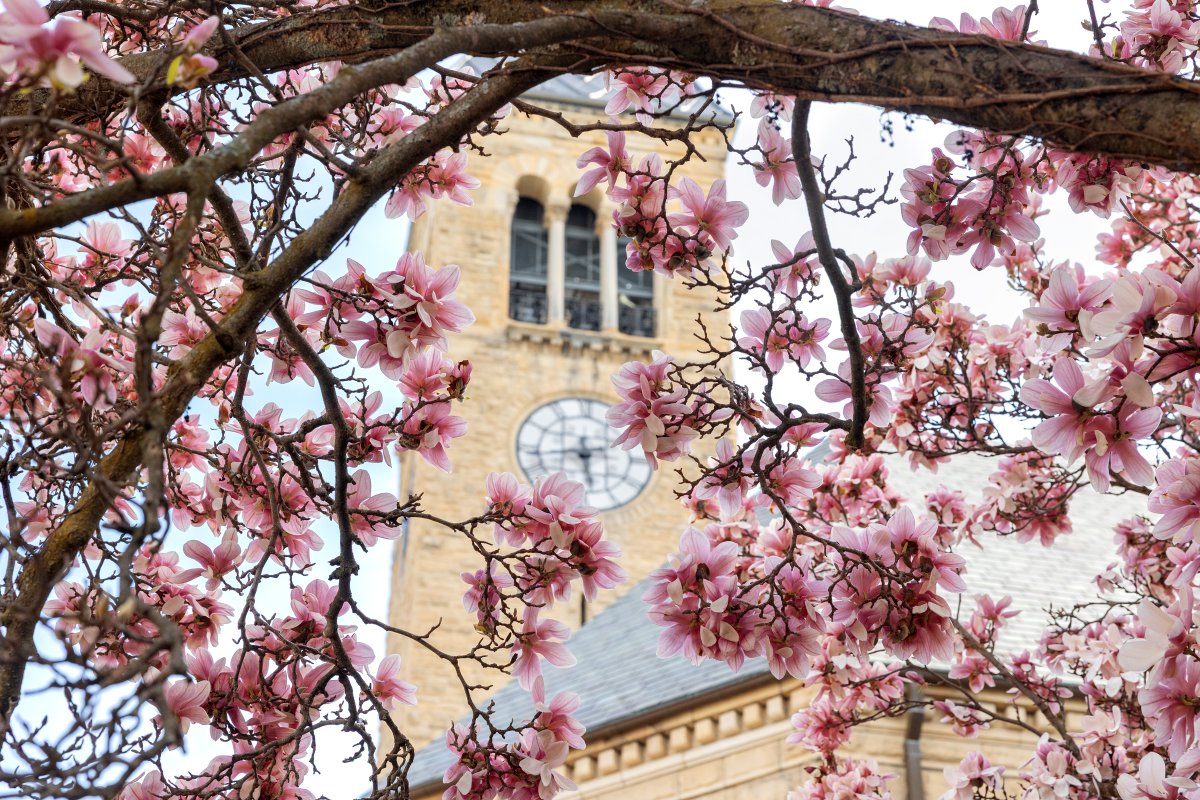 Cornell University tweet media