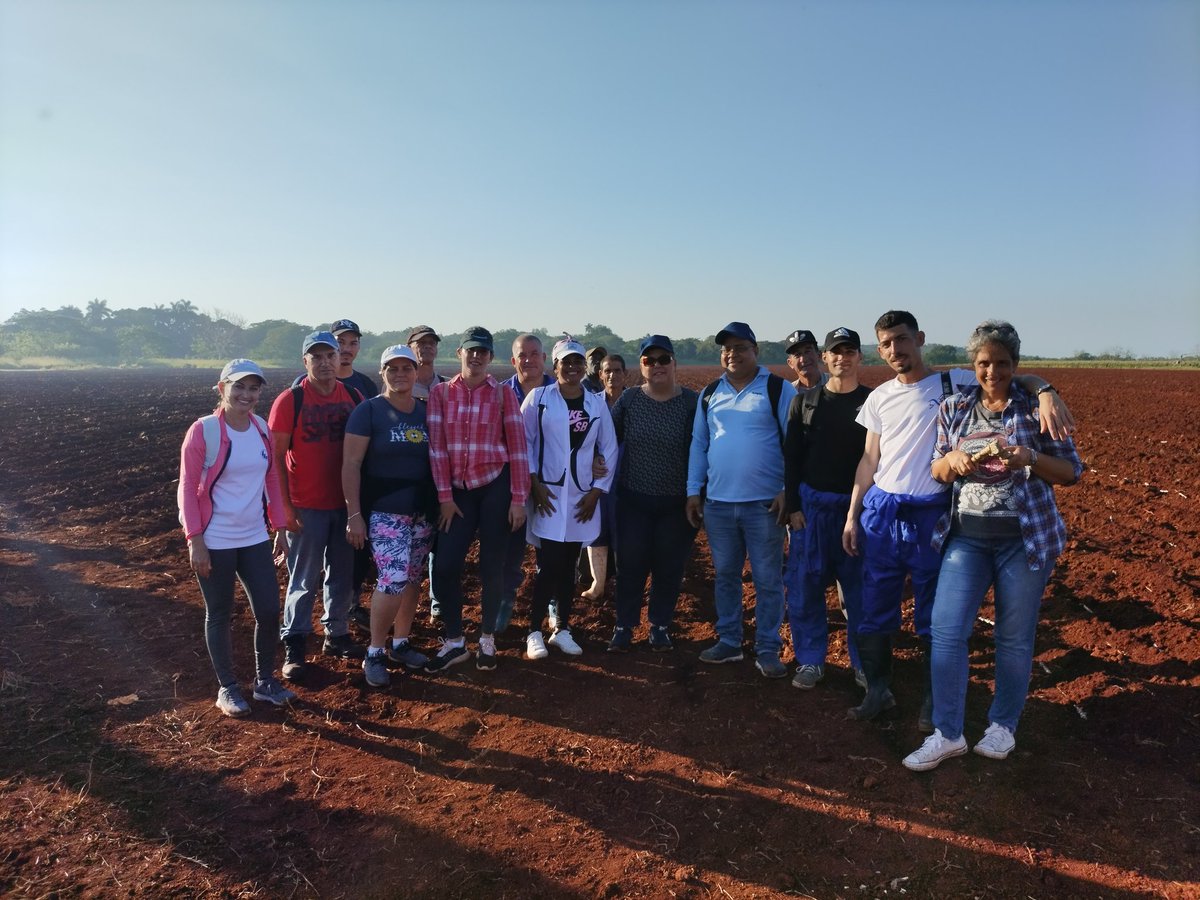 Una jornada de trabajo voluntario dónde los #Trabajadores de <a href="/ETECSA_Cuba/">ETECSA</a> #Mayabeque dijeron presente. En saludo a la fiesta del proletariado recibió nuestro Buró Extraterritorial un reconocimiento por los resultados alcanzados. #LaPatriasedefiende #PorCubaJuntosCreamos