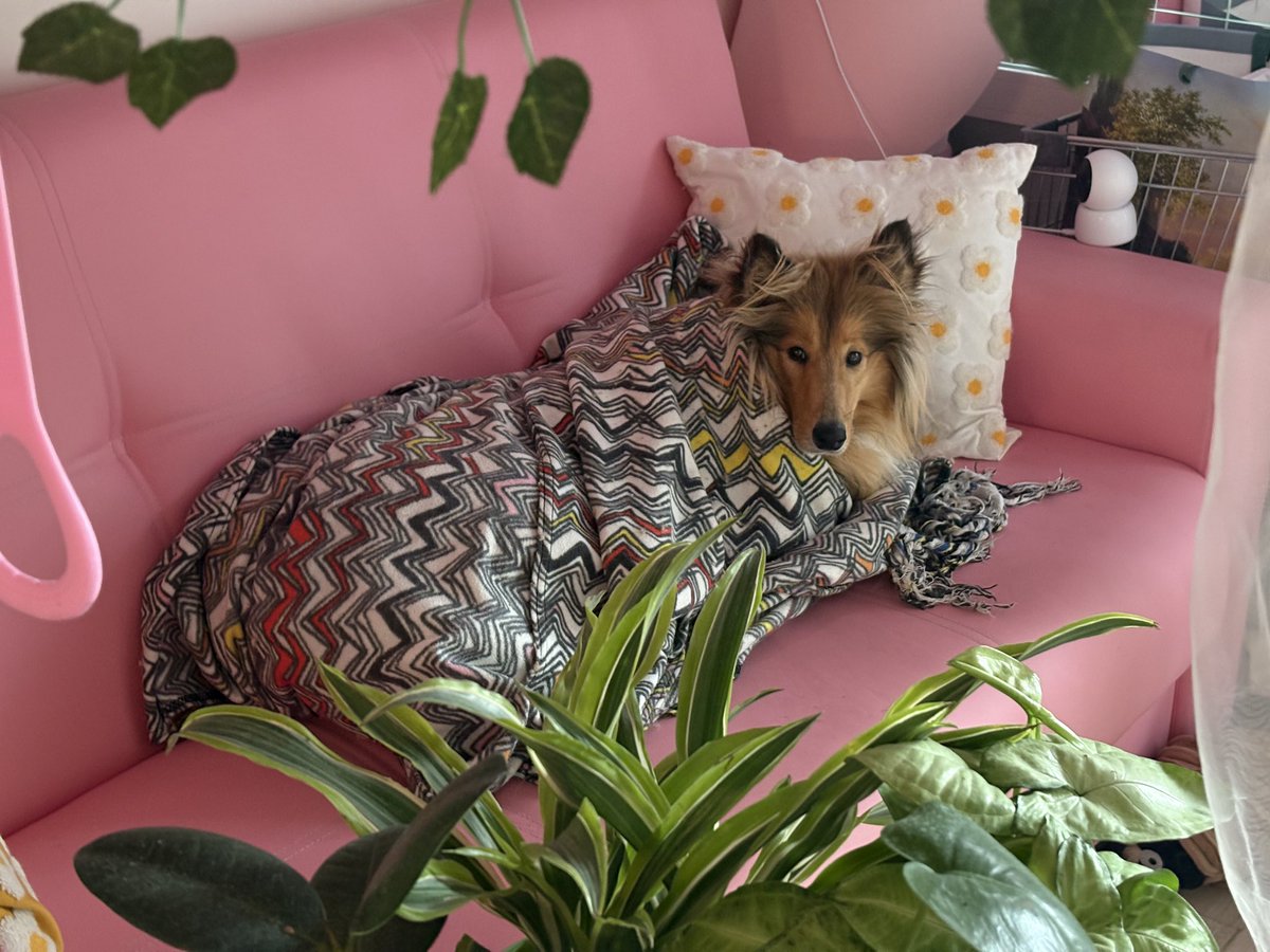 🎀дария ударение на и🎀 tweet media