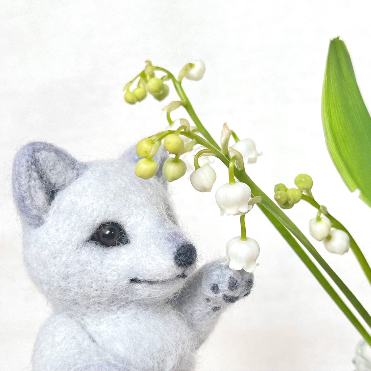 foxglove tweet media