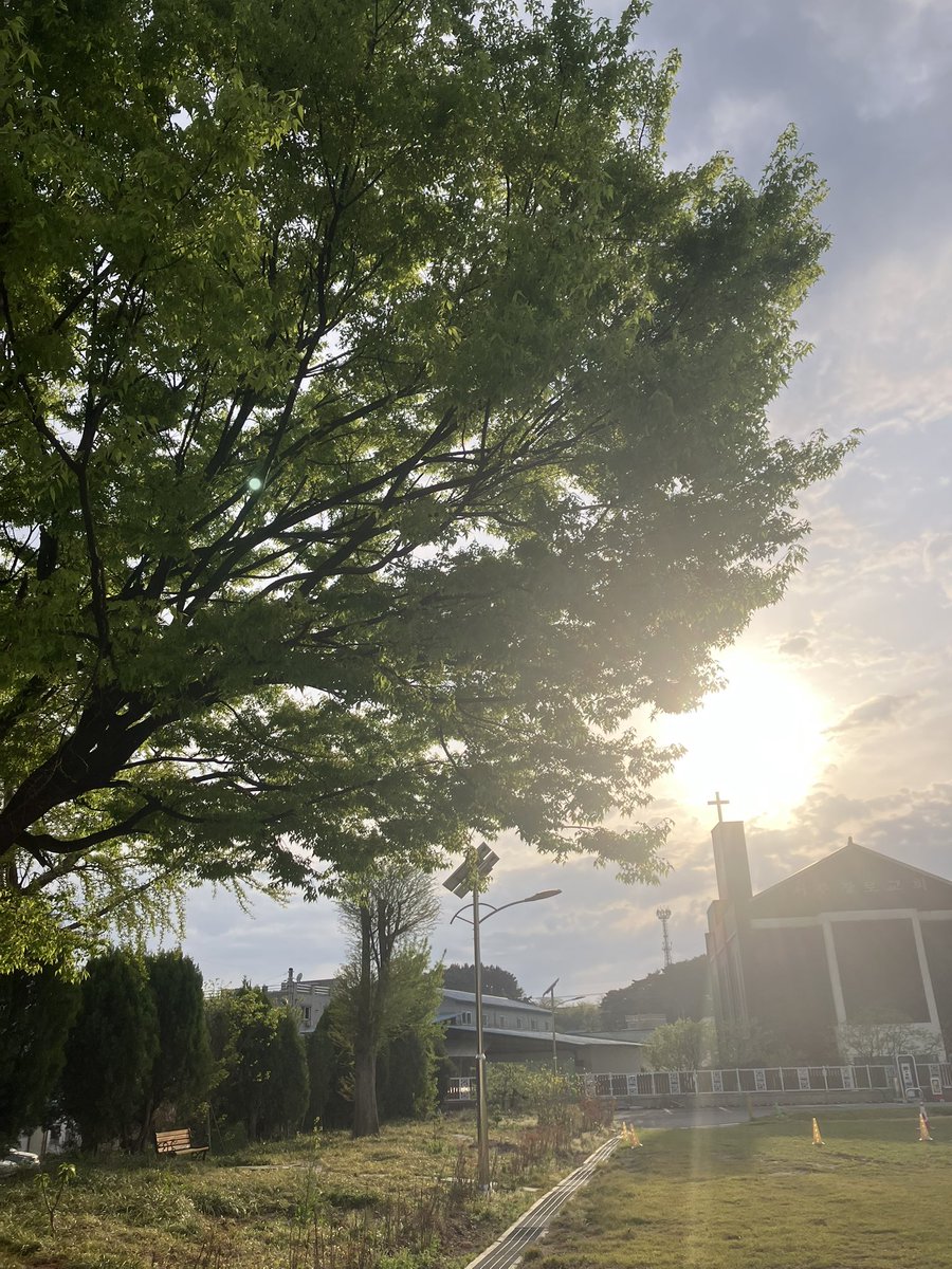 깜냥콩 tweet media