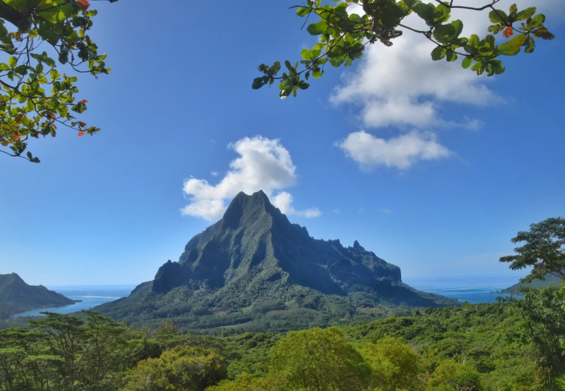 AdventureLifer's tweet image. Book 3 cabins and get a FREE cruise for 2 ✨
Available on select Tahiti and Italy–Malta sailings—explore paradise islands, turquoise waters &amp;amp; unforgettable coastal journeys.

Learn more: bit.ly/TahitiandIslan…

#AdventureLife #Tahiti #FrenchPolynesia #CruiseDeals #TravelDeals