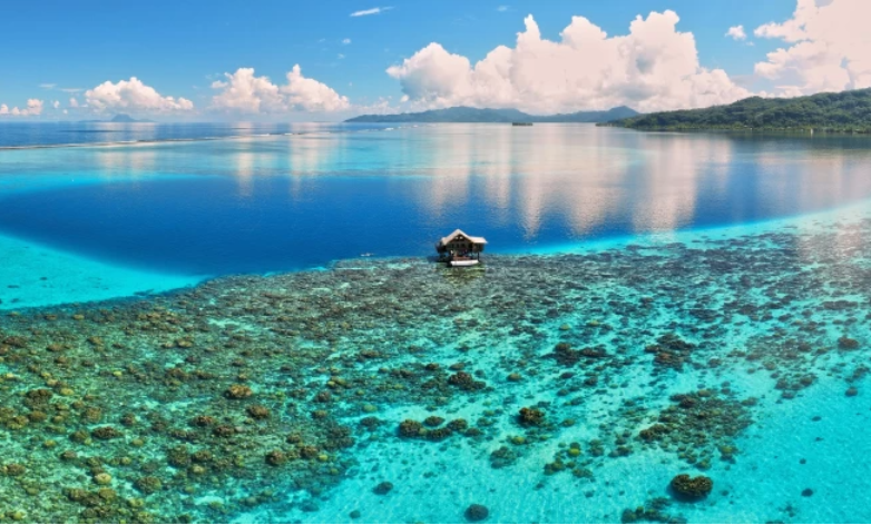 AdventureLifer's tweet image. Book 3 cabins and get a FREE cruise for 2 ✨
Available on select Tahiti and Italy–Malta sailings—explore paradise islands, turquoise waters &amp;amp; unforgettable coastal journeys.

Learn more: bit.ly/TahitiandIslan…

#AdventureLife #Tahiti #FrenchPolynesia #CruiseDeals #TravelDeals