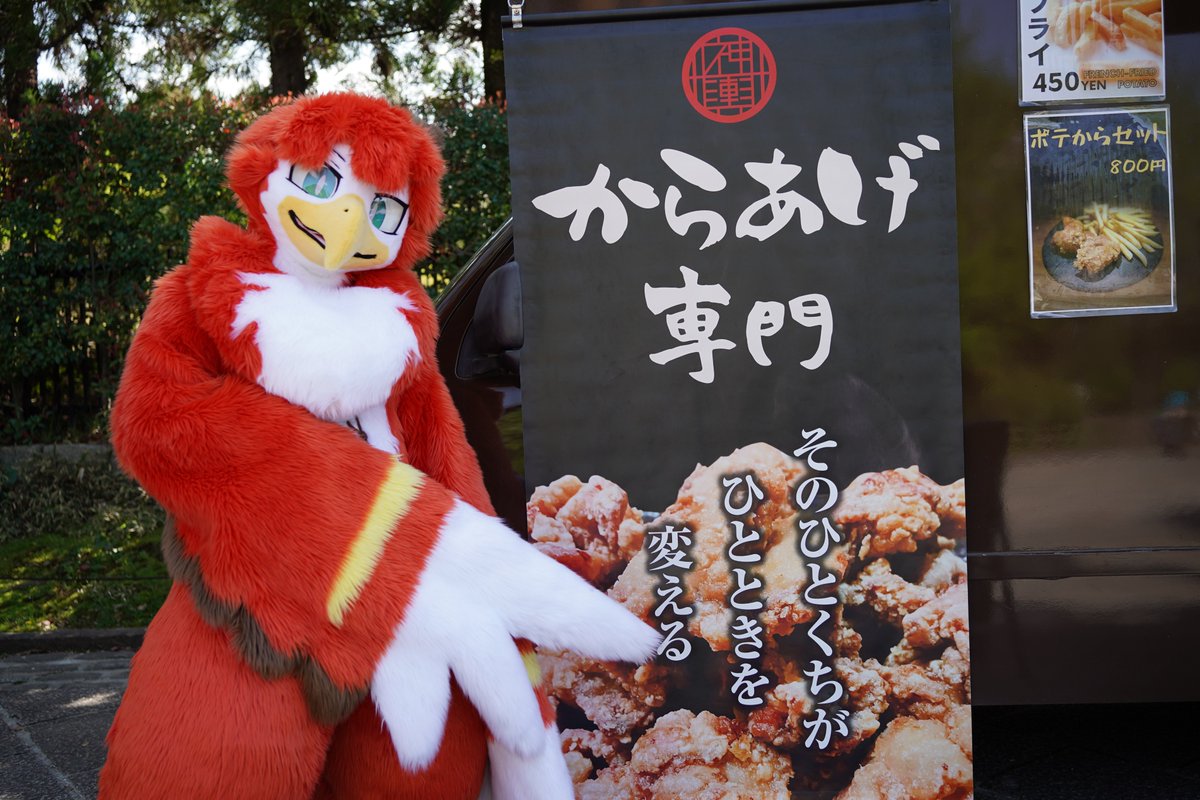 iWoLFeriR's tweet photo. https://t.co/v675vov0ZB おまたせしました！京けも4のフェリル撮影分撮って出し厳選が終わったので共有フォルダに上げました！映り込みに注意してご利用くださ��ませ。 #京けも4 https://t.co/XUAPdrEnFf