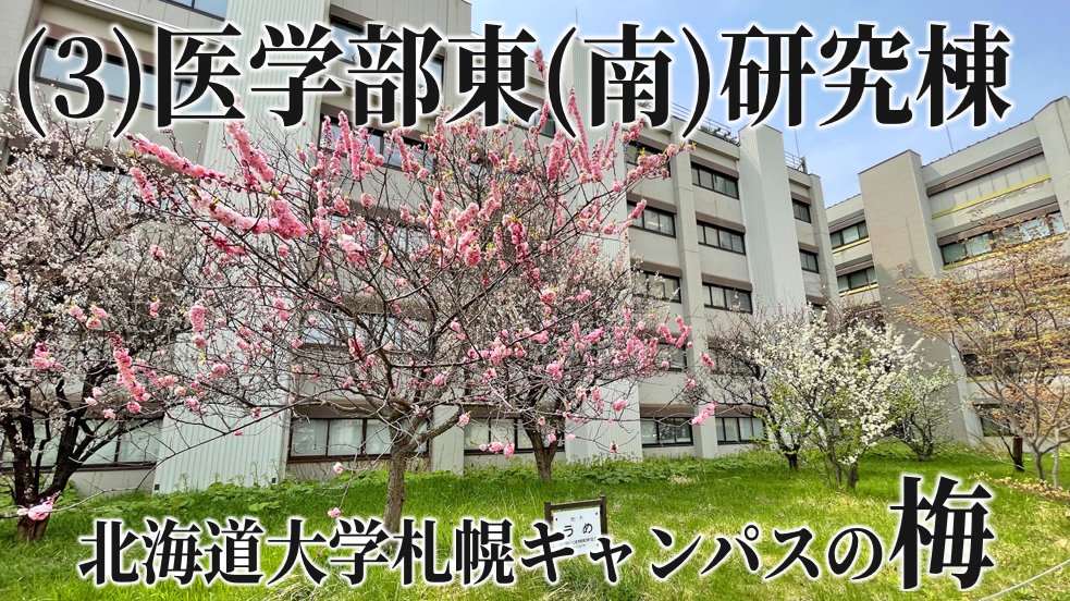 北海道大学教職員組合 事務部班 tweet media