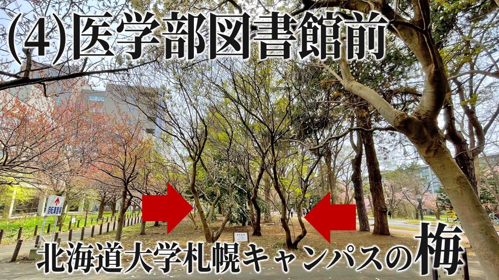 北海道大学教職員組合 事務部班 tweet media