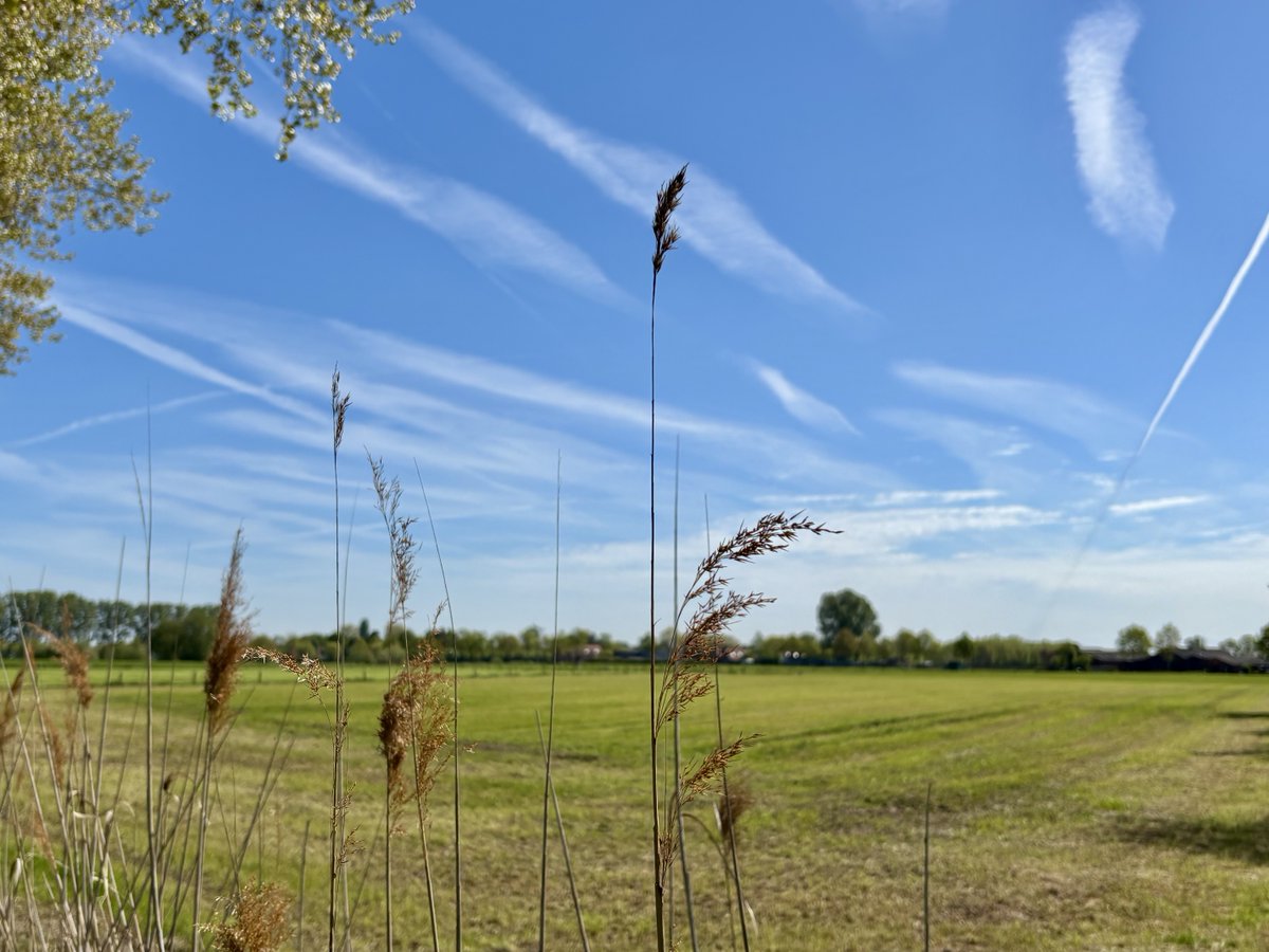 EddyMisman's tweet image. #vrtweer ⁦@BuienradarBE⁩ ⁦@HetweerinBelgie⁩ Beernem 12u20 #basis🏃‍♂️