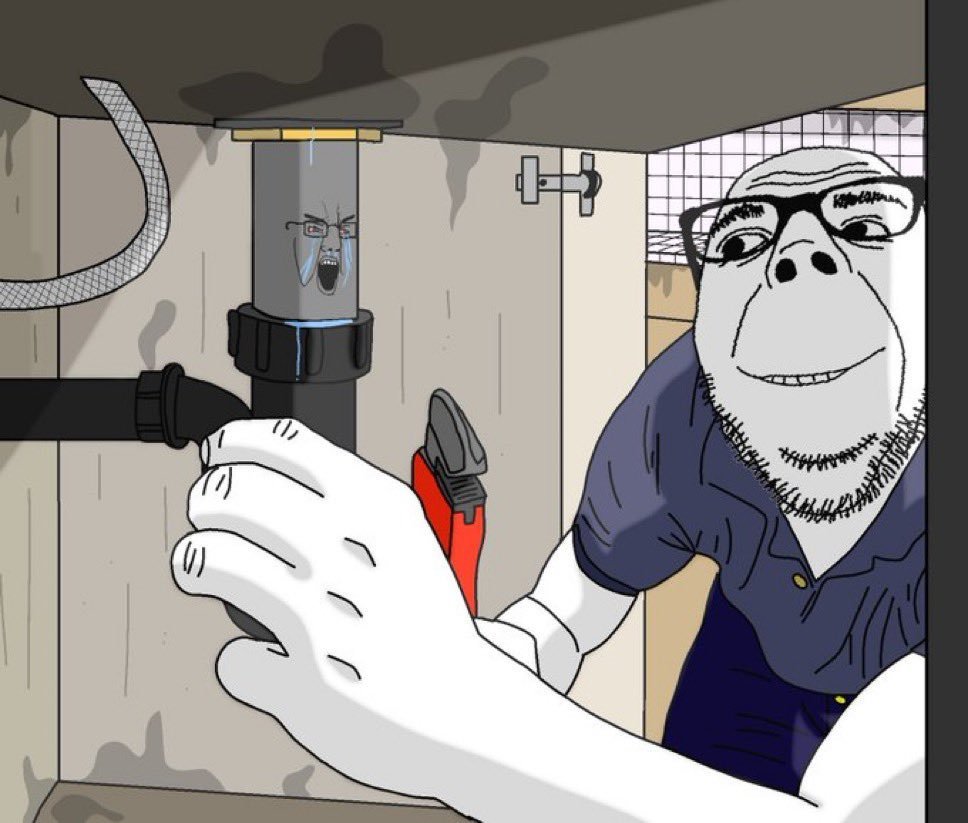 Daily Soyjaks tweet media