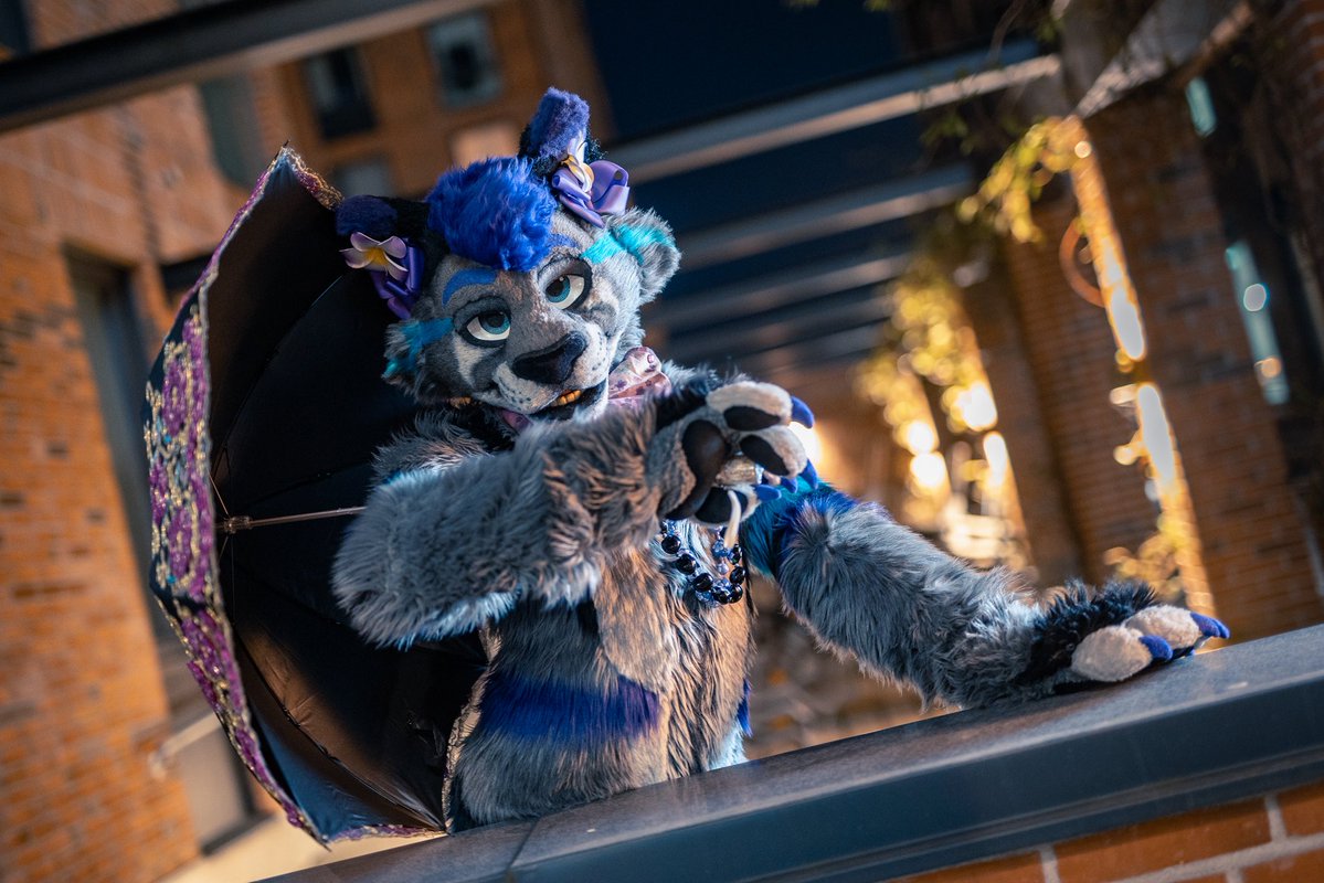 Limin Carnation 🦋 tweet media