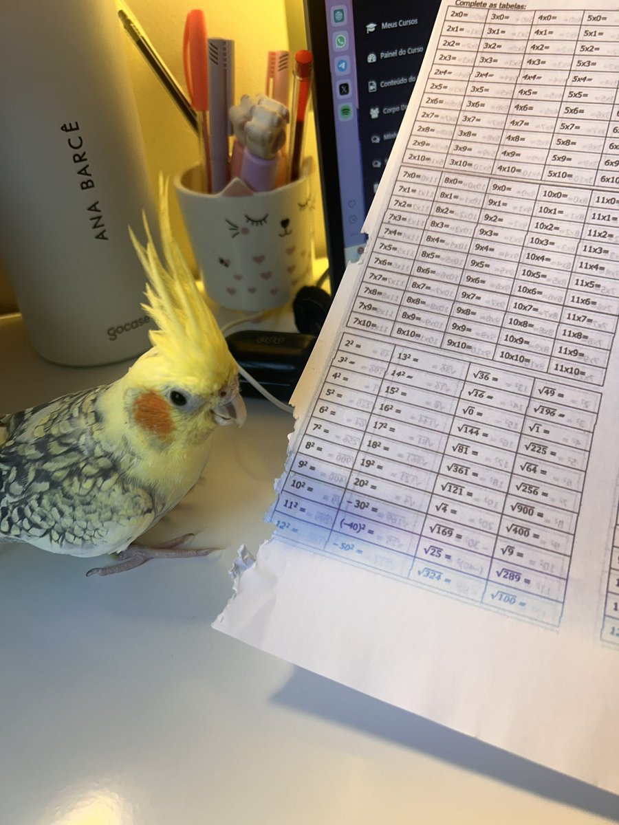 αηα︎ tweet media