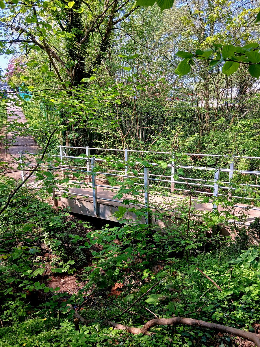 Tinalouisereads's tweet image. A little wander down the lane and park #springwalks #downthelane #sedgley