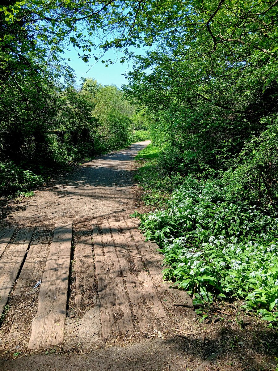 Tinalouisereads's tweet image. A little wander down the lane and park #springwalks #downthelane #sedgley