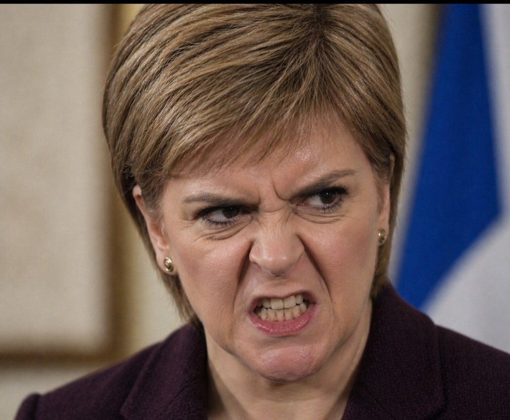 alkanomega's tweet image. Essential reading from @msjlindsay

Its very calmness &amp;amp; thoughtfulness is the polar opposite of #Sturgeon's endless half crazed bullying &amp;amp; lying
Intelligent independence fans now realise the damage #TheSturgeonGang did to Scotland, but also to their 'cause'

She should be in jail