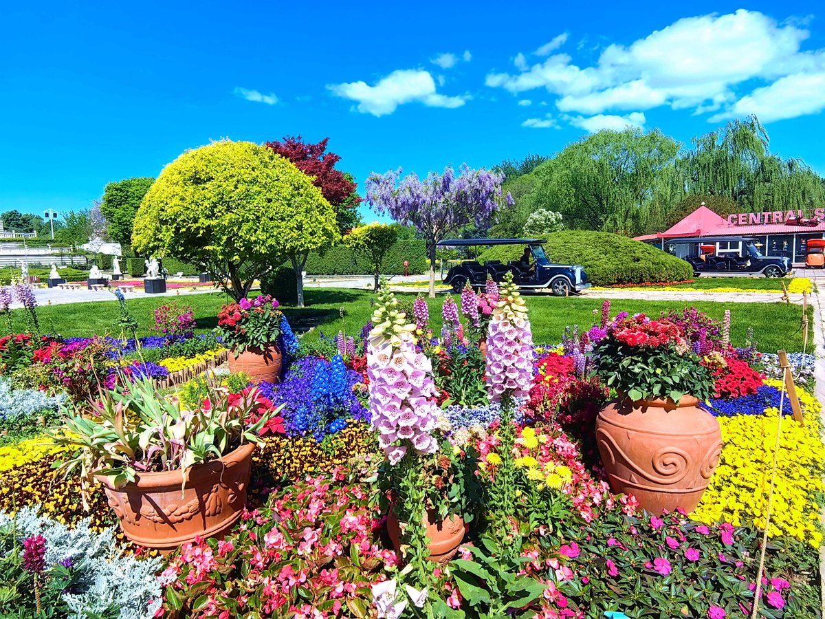 BeijingEvening's tweet image. 五一，奇幻魔法在世界公园等您
Come and join the #magical carnival feast! During the May Day holiday, Beijing World Park will host a "Magical Encounter" themed event, with magic, immersion, and fantasy at its core. #beijing