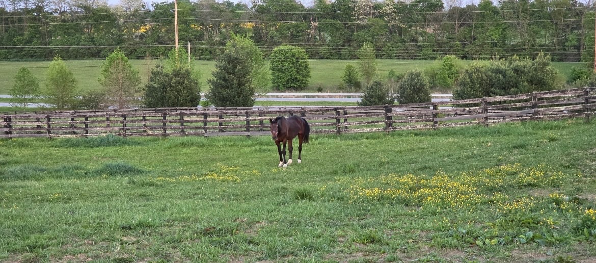 Mane_Characters's tweet photo. “If you have treats, I’ll come up. If not, I’ll keep grazing. Let me know.”
💜💜💜💜💜💜💜💜💜💜💜
#spiritseeker https://t.co/qDWi3u9JVI