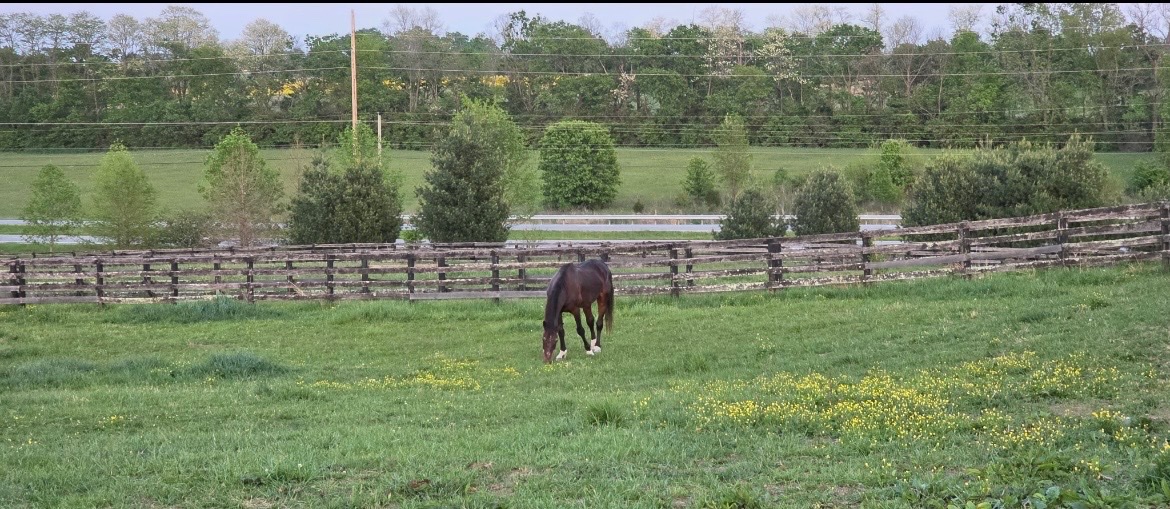 Mane_Characters's tweet photo. “If you have treats, I’ll come up. If not, I’ll keep grazing. Let me know.”
💜💜💜💜💜💜💜💜💜💜💜
#spiritseeker https://t.co/qDWi3u9JVI