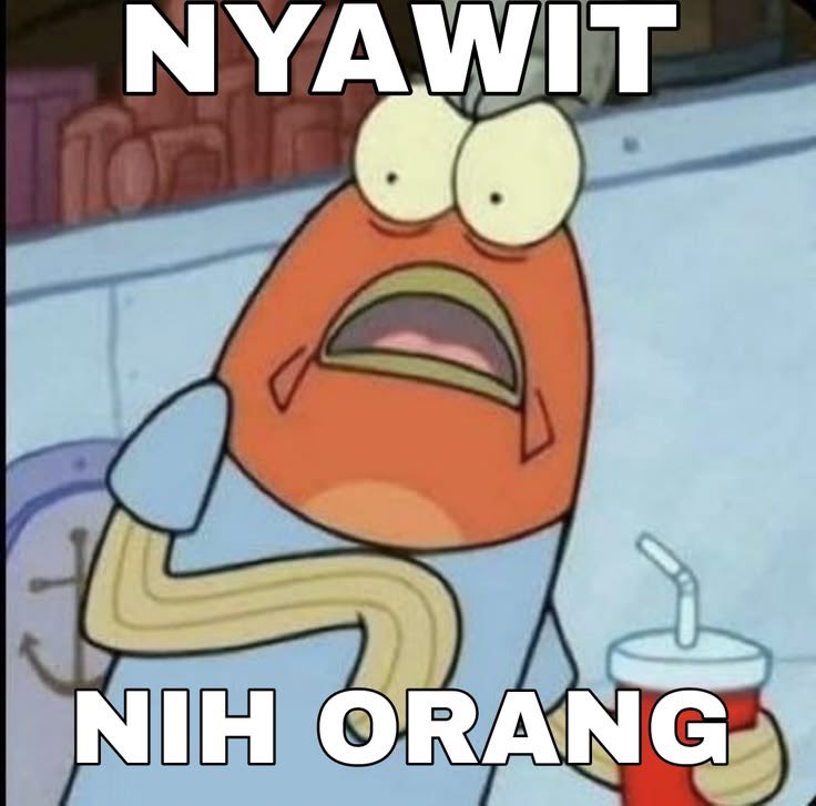 Rain🌻🍉 tweet media