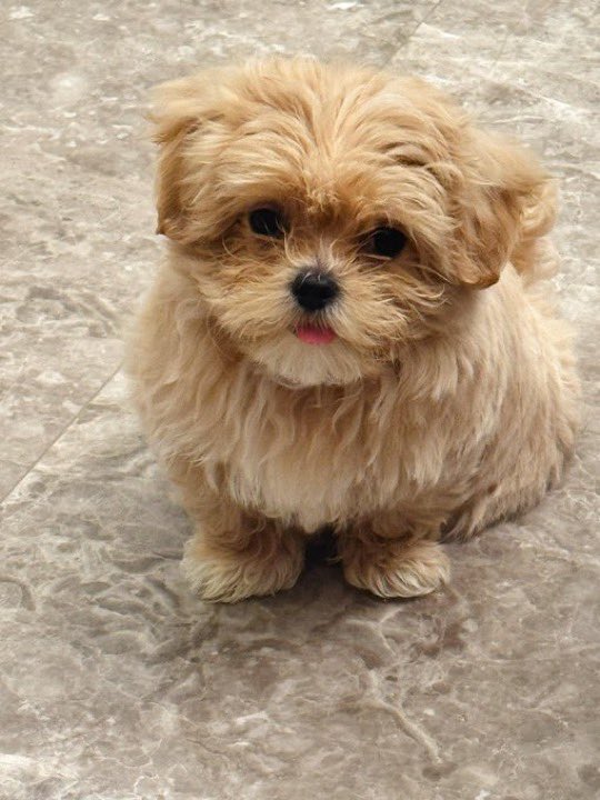 twiinล์✨ slow tweet media