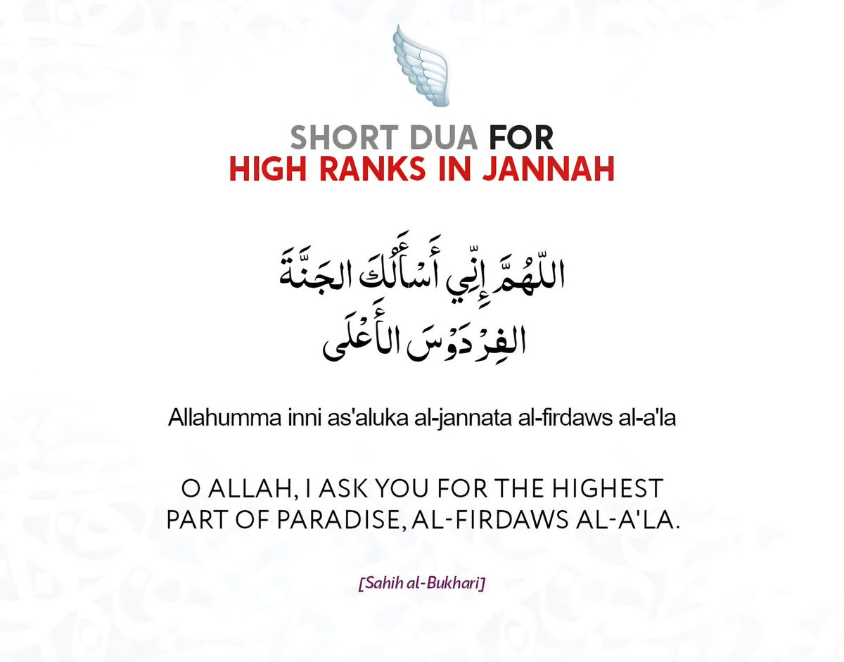 QuddusRsa's tweet photo. Short prayer for high ranks in Jannah.! ✨️🤲🏻☝🏻 https://t.co/1QiGcWtaSy