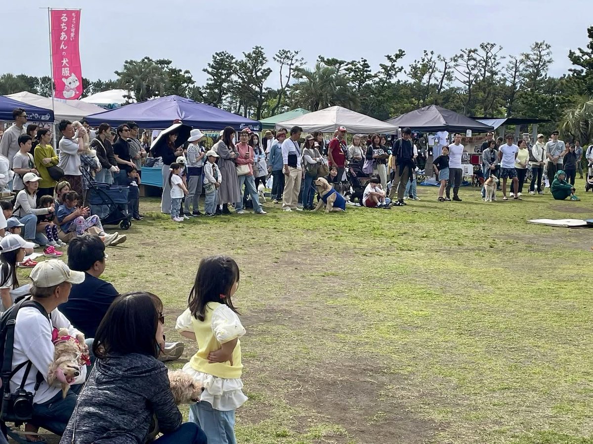 HUGANIMALS1's tweet photo. #HUGANIMALS! Vol.15 
久しぶりに二日間とも晴れて大勢の方にご来場いただき、有難うございました
（気象神社のご利益⛩️🙏）

宣伝や運営にご協力くださったスタッフの皆さん、本当にお疲れさまでした!
vol.15開催に関わって下さったすべての方に心より感謝申し上げます

次回もニ日間晴れます様に☀️ https://t.co/PJ9wOkwghn