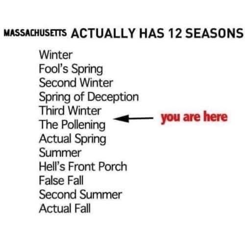 TDeMarco54's tweet image. Not just Mass but all of New England. We are in the “The Pollening”. #allergiessuck #NH #NewEngland #SpringSucks