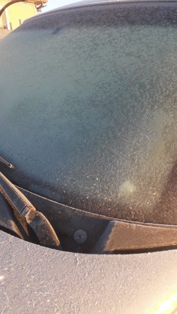 AngryDuck! tweet media