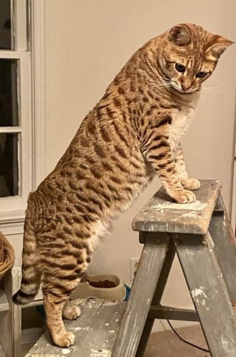 Jenn The Producer tweet media