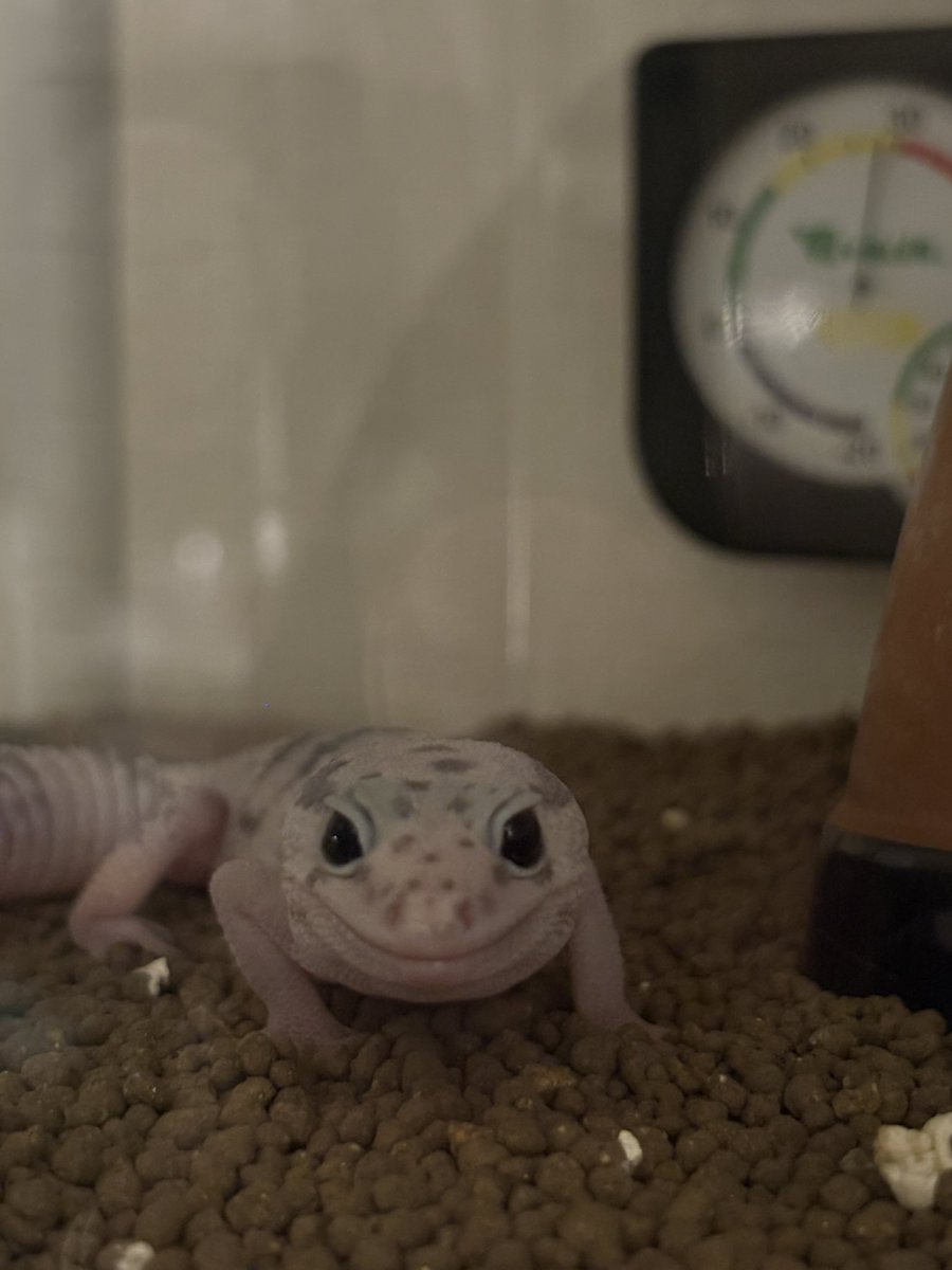 (元)院長 tweet media