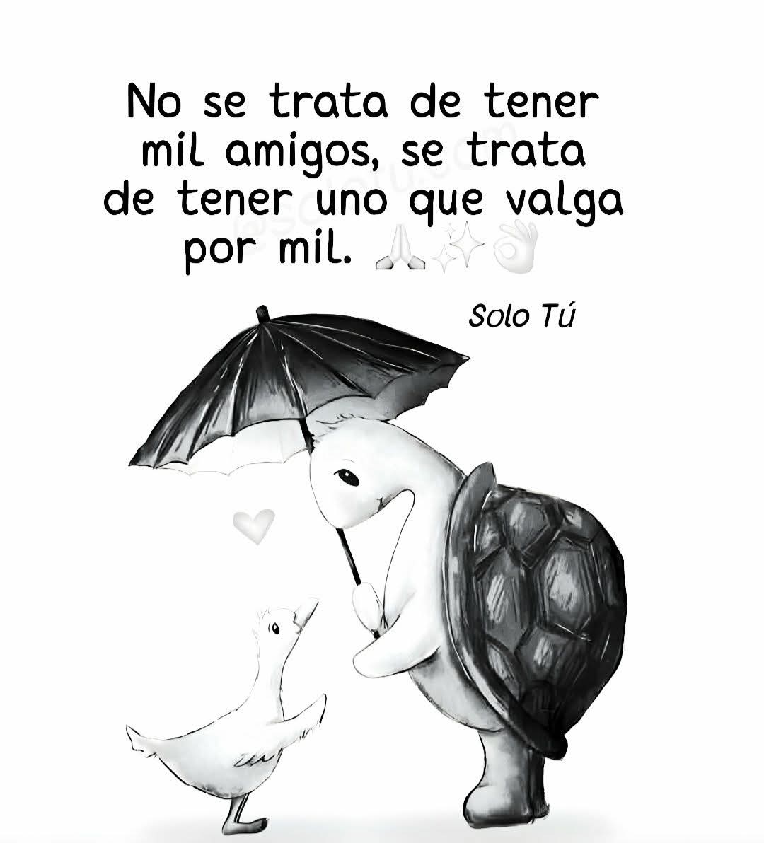 Piluchy Hola mi tweet media