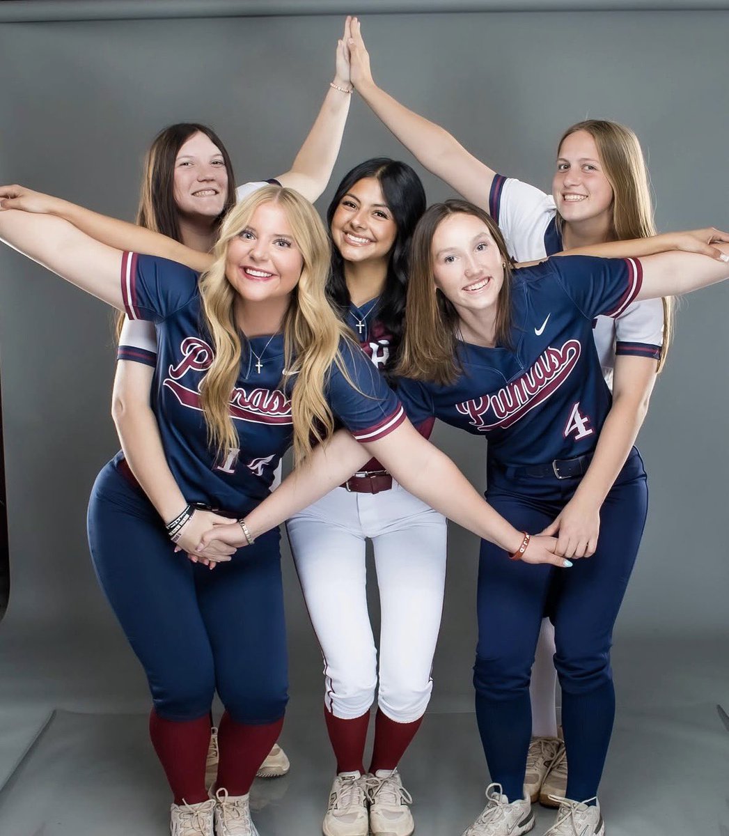 Perry High Softball tweet media