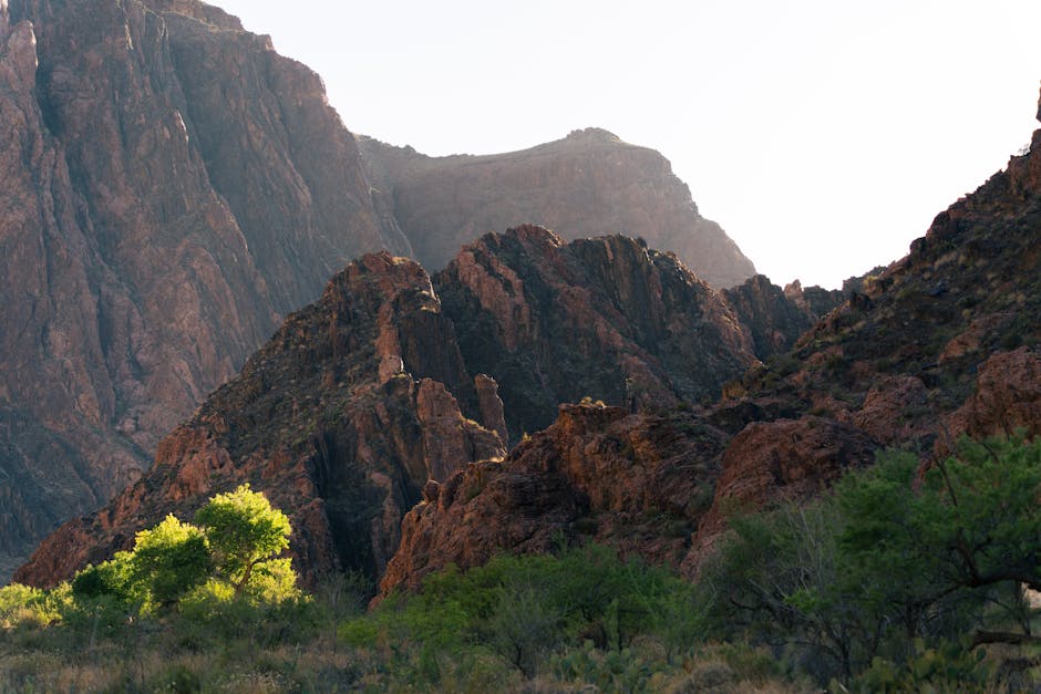 Ryan Rodriguez tweet media