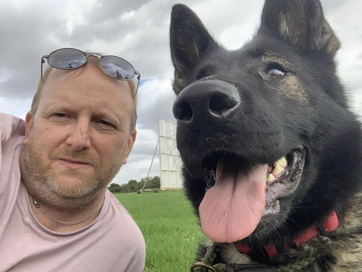 gsrescueelite's tweet image. Pixy is 4yrs old and she came to us in June 23 after being found in an abandoned car that had been sealed with Duct tape! A sweet but shy girl she can live with older kids but will need an exp home 
#dogs #germanshepherd #Essex 
gsrelite.co.uk/pixy/