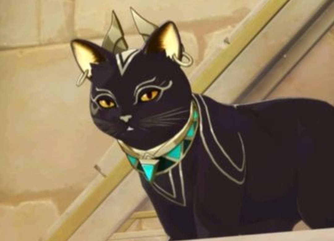 The Curatorium. tweet media