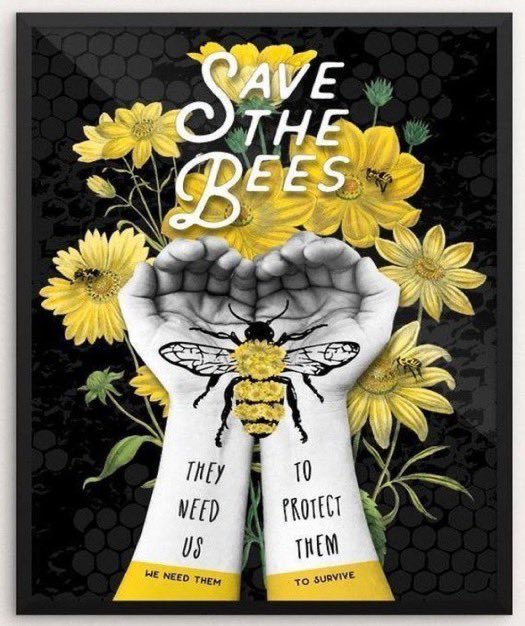 josephinewell19's tweet image. #SaveTheBees 
#ProtectTheForests 
#ClimateActionNow