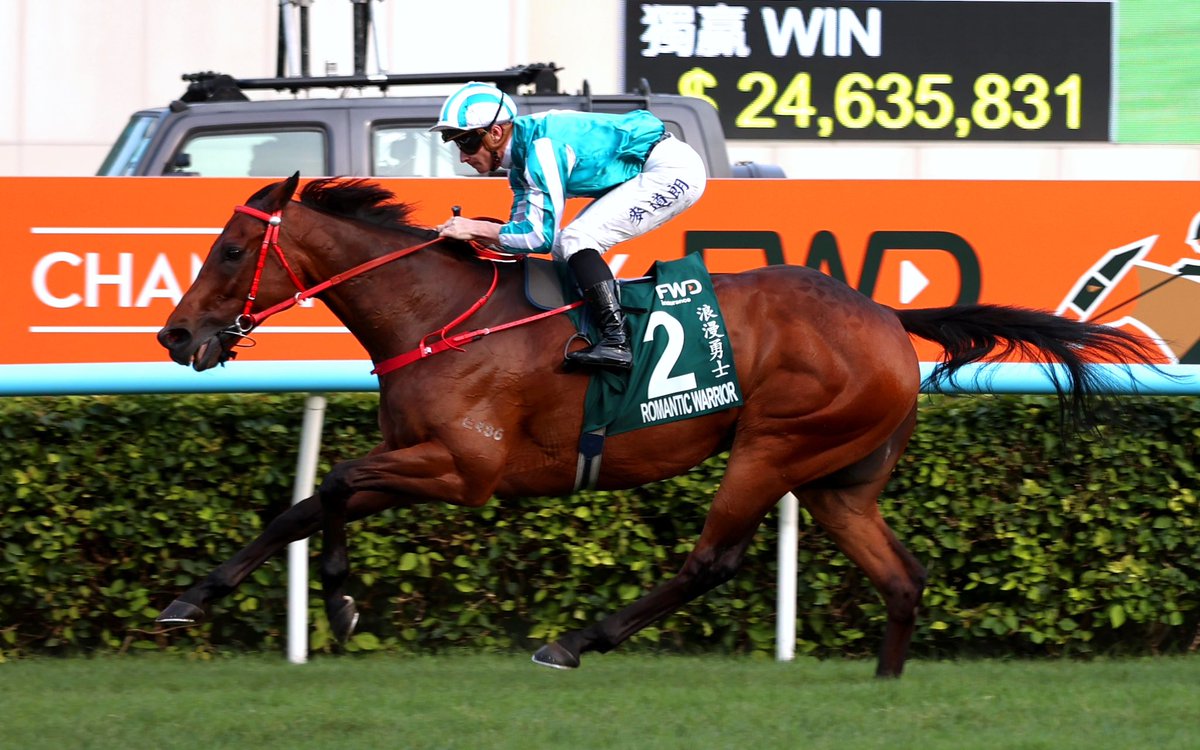 犬山風人 tweet media