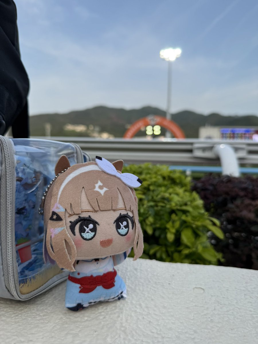 犬山風人 tweet media