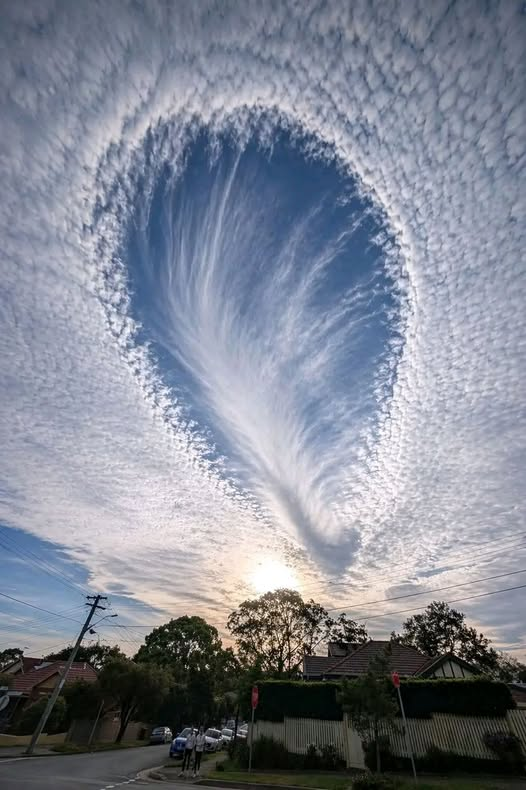 DELTA9_DELTA9's tweet image. this was spotted over New South Wales, Australia