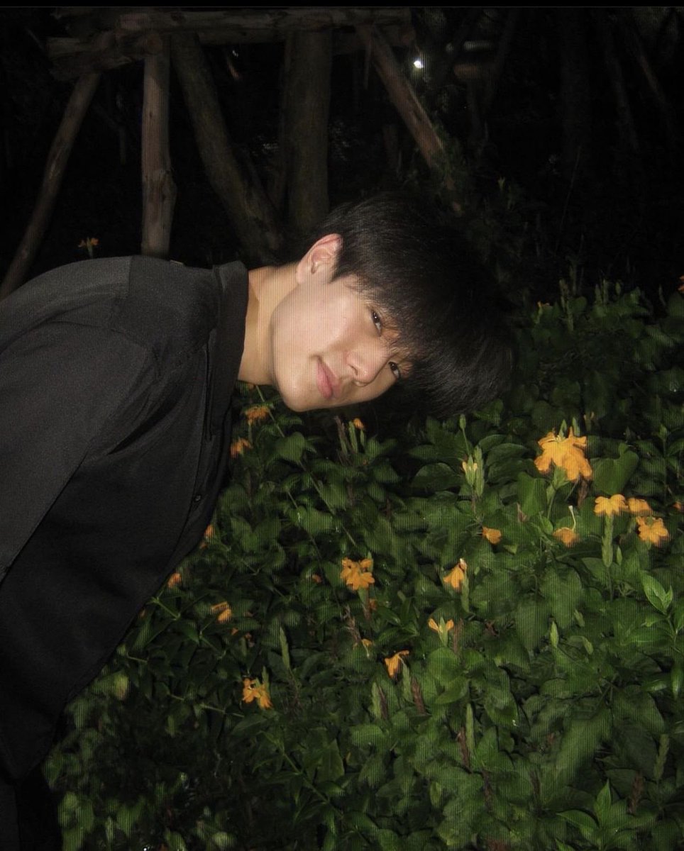 ann 𐙚 🍓 tweet media