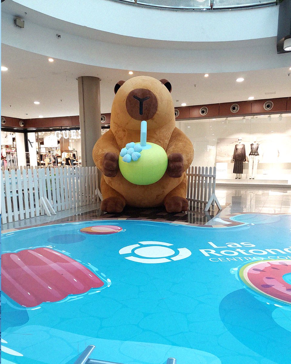 ¿En serio pensabas venir de tranqui y no encontrarte con UNA CAPIBARA GIGANTE paseándose por el centro comercial? 👀✨

Ella ya ha aprovechado su bono consumo como una pro…

¿y tú, a qué estás esperando? 🛍️