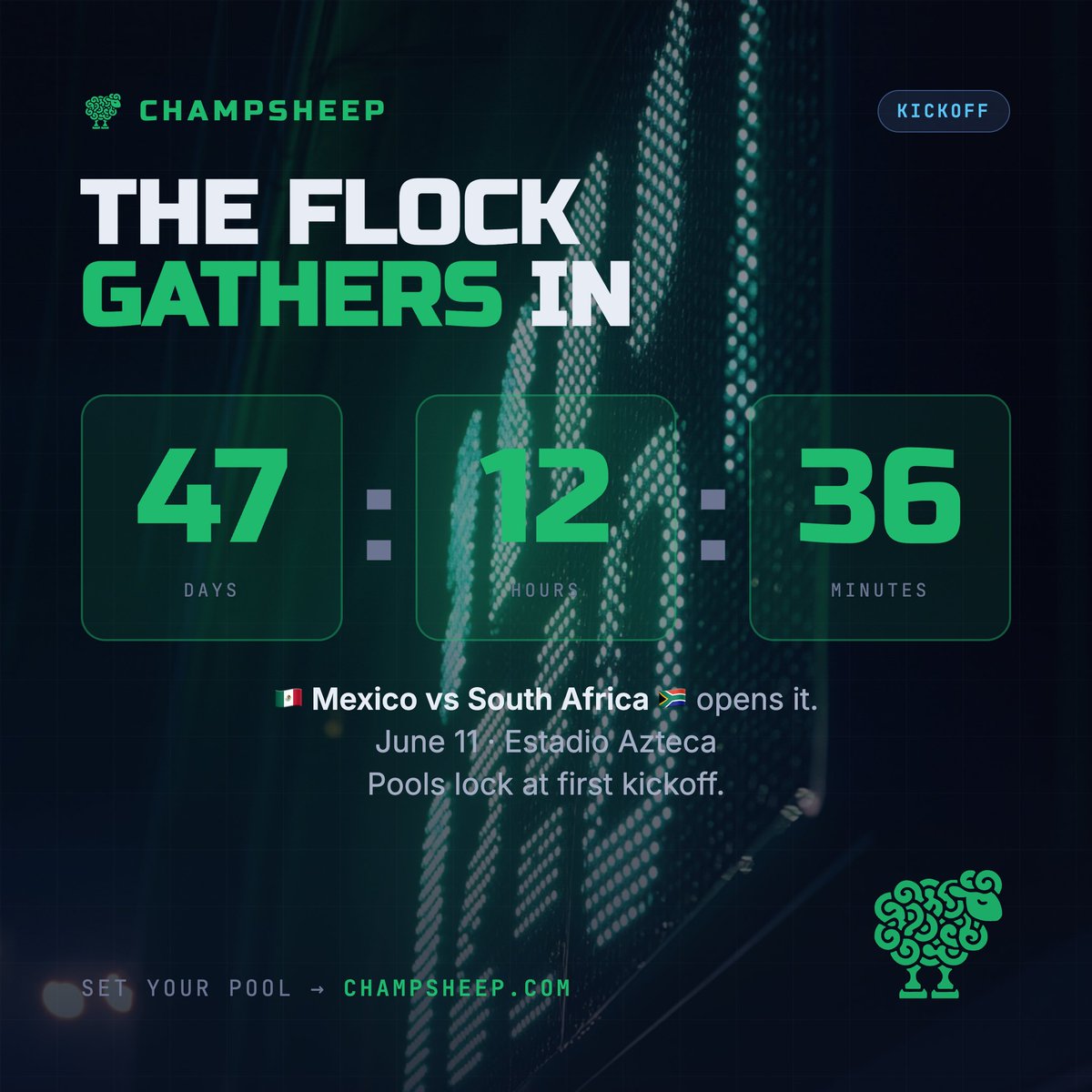 champsheep tweet media