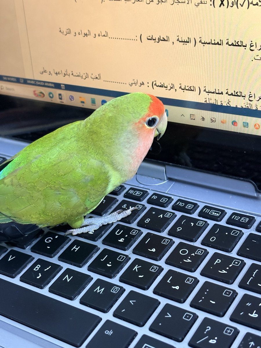 soll tweet media