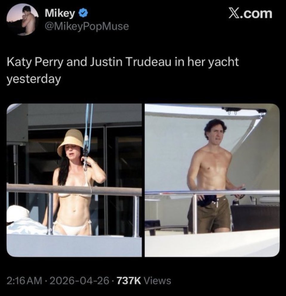 Mortimer tweet media