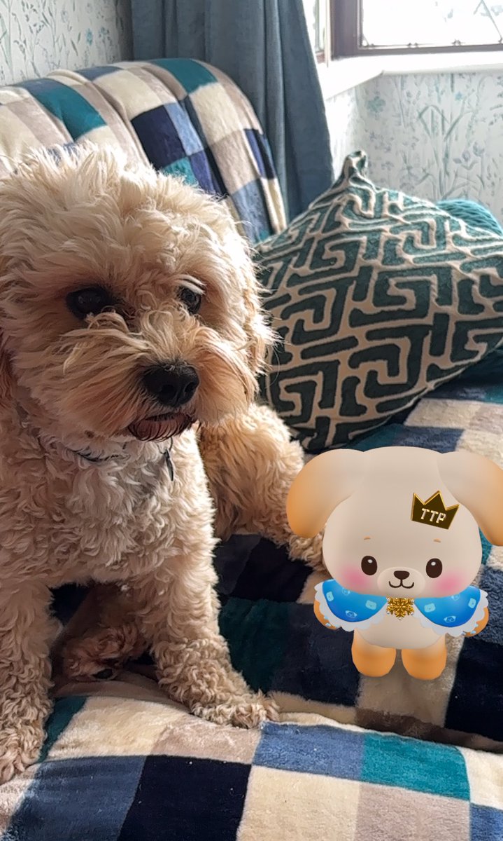 fifi 💌 tweet media