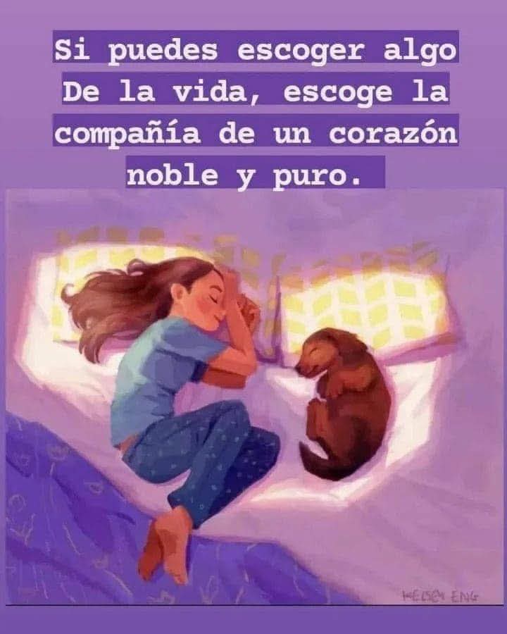 Piluchy Hola mi tweet media