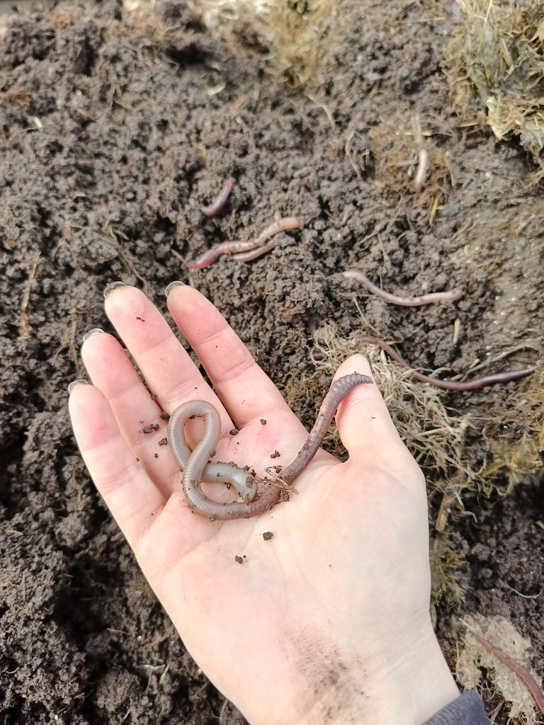 Досвечивать 12 часов в сутки tweet media