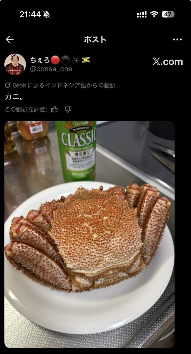 ちぇろ🔴⚫️🕷️🇯🇲 tweet media