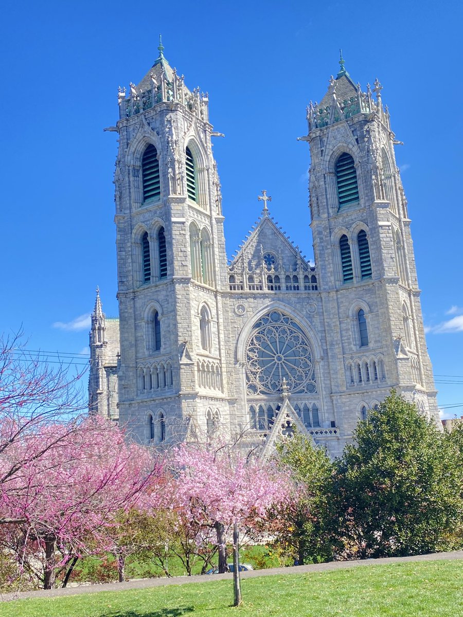KathleenLevey's tweet image. Cathedral Basilica of the Sacred Heart @NewarkBasilica and the Ballantine Gates, Branch Brook Park, early April @BranchBrookPark #cherryblossom #architecture #flowers #travel 🌸🕊️