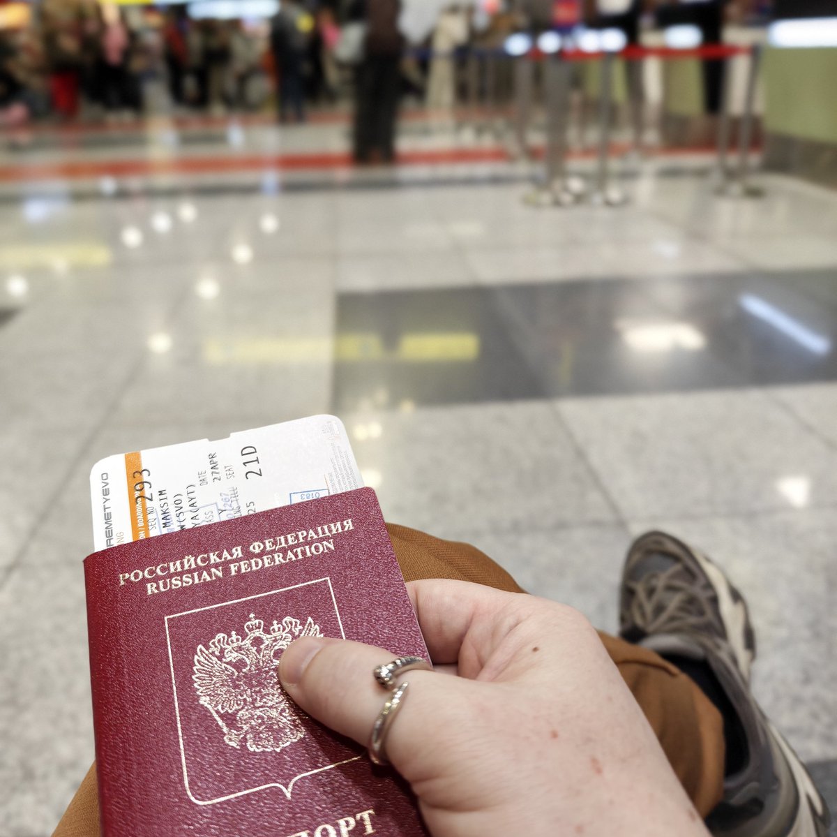 V U L P 1 S tweet media