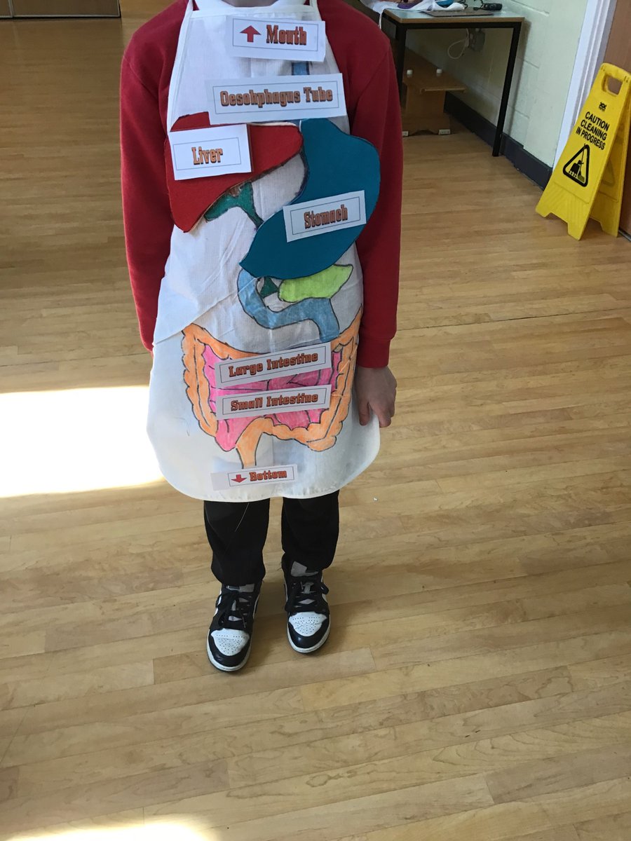 Rotherhamcreat2's tweet image. A fab morning with YR4 children and families for our Human Body family learning session @KimberworthPri1 We explored the Digestive System. We designed a digestive system apron and also conducted a digestive system experiment.  #fabulousfamilies #learningtogether #science